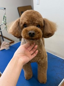 4d9a6697-b832-4a1c-9bb6-6f0bddee874d