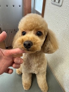 4d9a6697-b832-4a1c-9bb6-6f0bddee874d