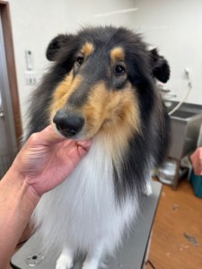 4d9a6697-b832-4a1c-9bb6-6f0bddee874d