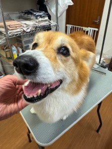 4d9a6697-b832-4a1c-9bb6-6f0bddee874d