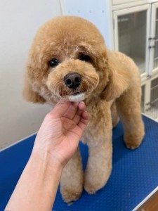 4d9a6697-b832-4a1c-9bb6-6f0bddee874d