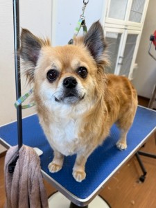 4d9a6697-b832-4a1c-9bb6-6f0bddee874d