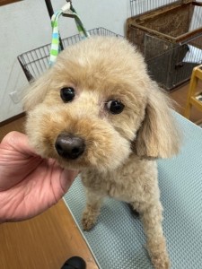 4d9a6697-b832-4a1c-9bb6-6f0bddee874d