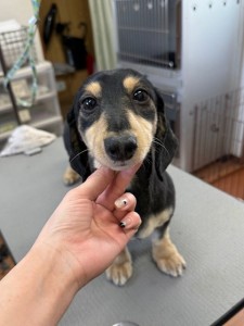 4d9a6697-b832-4a1c-9bb6-6f0bddee874d