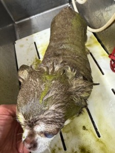 4d9a6697-b832-4a1c-9bb6-6f0bddee874d