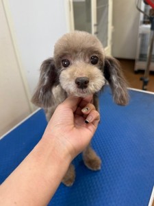 4d9a6697-b832-4a1c-9bb6-6f0bddee874d