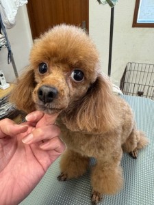 505f68cd-ed3d-4247-8082-05de93ea57cd