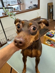 505f68cd-ed3d-4247-8082-05de93ea57cd