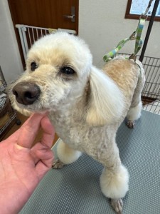 505f68cd-ed3d-4247-8082-05de93ea57cd