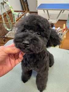 505f68cd-ed3d-4247-8082-05de93ea57cd