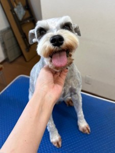 505f68cd-ed3d-4247-8082-05de93ea57cd