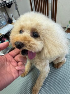 505f68cd-ed3d-4247-8082-05de93ea57cd