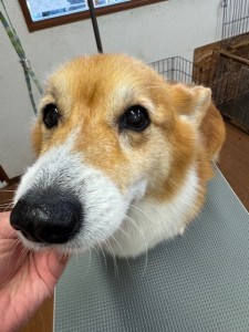 505f68cd-ed3d-4247-8082-05de93ea57cd