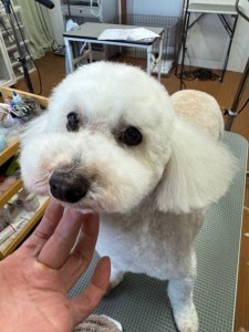 505f68cd-ed3d-4247-8082-05de93ea57cd