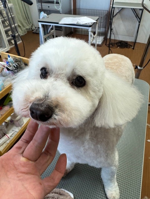 505f68cd-ed3d-4247-8082-05de93ea57cd