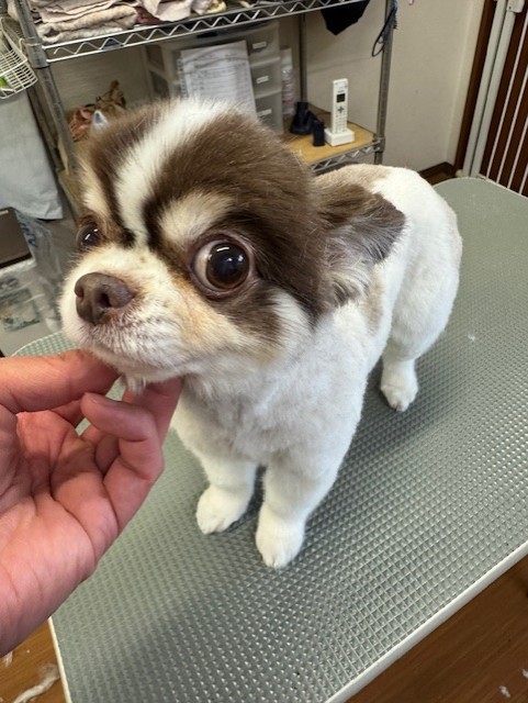 505f68cd-ed3d-4247-8082-05de93ea57cd