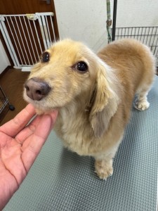 526e24a0-9c16-4ef8-bde8-1747c8dbe2a4