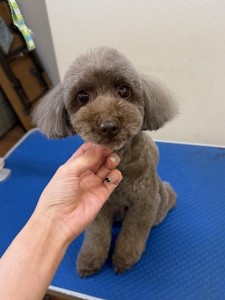 526e24a0-9c16-4ef8-bde8-1747c8dbe2a4