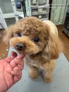 526e24a0-9c16-4ef8-bde8-1747c8dbe2a4