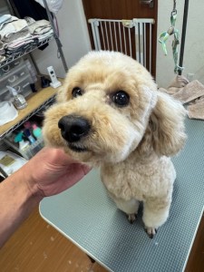 526e24a0-9c16-4ef8-bde8-1747c8dbe2a4