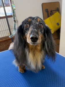 65dd0aba-8074-4e9f-972d-acefac1a1d3f