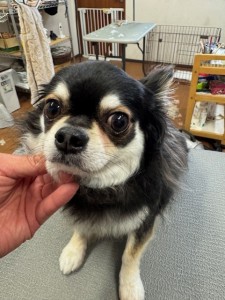 65dd0aba-8074-4e9f-972d-acefac1a1d3f