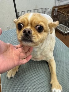 65dd0aba-8074-4e9f-972d-acefac1a1d3f