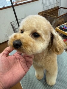 65dd0aba-8074-4e9f-972d-acefac1a1d3f