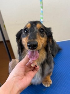 65dd0aba-8074-4e9f-972d-acefac1a1d3f