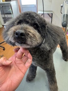 65dd0aba-8074-4e9f-972d-acefac1a1d3f