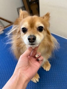 65dd0aba-8074-4e9f-972d-acefac1a1d3f