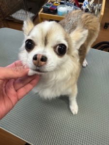 65dd0aba-8074-4e9f-972d-acefac1a1d3f