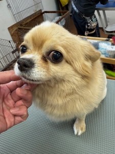 65dd0aba-8074-4e9f-972d-acefac1a1d3f