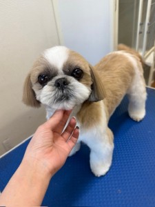 65dd0aba-8074-4e9f-972d-acefac1a1d3f