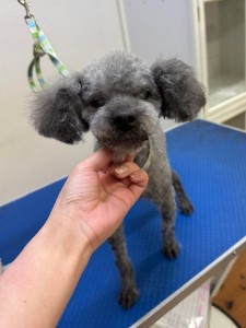 65dd0aba-8074-4e9f-972d-acefac1a1d3f