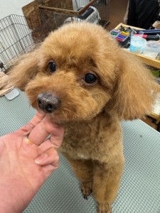 65dd0aba-8074-4e9f-972d-acefac1a1d3f