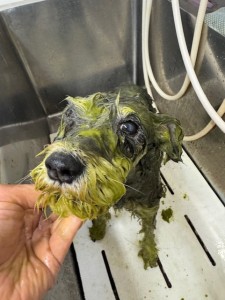 65dd0aba-8074-4e9f-972d-acefac1a1d3f