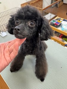 65dd0aba-8074-4e9f-972d-acefac1a1d3f