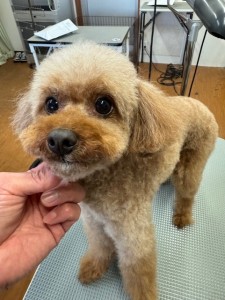 65dd0aba-8074-4e9f-972d-acefac1a1d3f