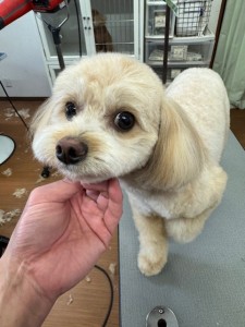 65dd0aba-8074-4e9f-972d-acefac1a1d3f