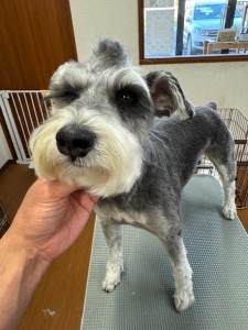 65dd0aba-8074-4e9f-972d-acefac1a1d3f