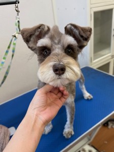 65dd0aba-8074-4e9f-972d-acefac1a1d3f