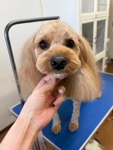 65dd0aba-8074-4e9f-972d-acefac1a1d3f