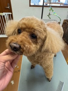 65dd0aba-8074-4e9f-972d-acefac1a1d3f