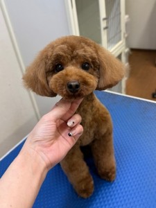 65dd0aba-8074-4e9f-972d-acefac1a1d3f