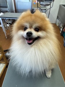 65dd0aba-8074-4e9f-972d-acefac1a1d3f