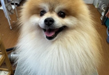 65dd0aba-8074-4e9f-972d-acefac1a1d3f