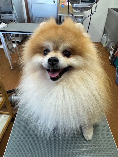 65dd0aba-8074-4e9f-972d-acefac1a1d3f