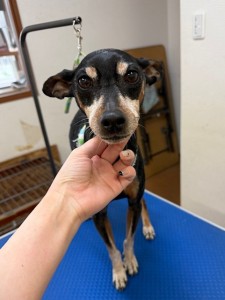 65dd0aba-8074-4e9f-972d-acefac1a1d3f