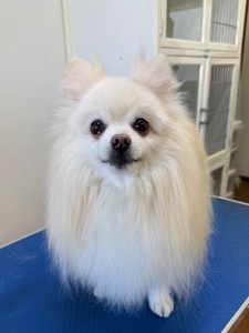 6d382006-99a9-448f-abb0-1e847c1c3674